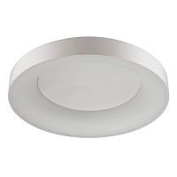 потолочный светодиодный светильник odeon light sole 4062/80cl в Перми