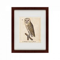 картина: one owl, 1560 в Перми