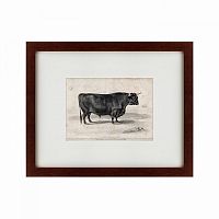 картина: a west highland bull, 1840 в Перми