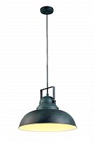 подвесной светильник arte lamp martin a5213sp-1bg в Перми