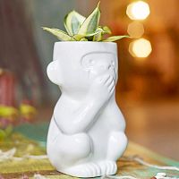 горшок для растений eco молчун в Перми