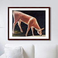 картина: roe deer drinking from a stream, 1901г. в Перми