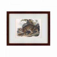 картина: bobcat, 1839 в Перми