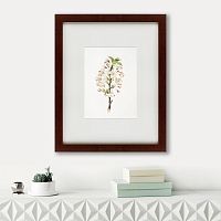 картина: pear tree flowers (pyrus calleryana), 1830 в Перми