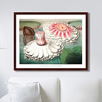 картина: water lily during bloom, 1870г. в Перми