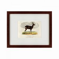 картина: a roebuck, 1830 в Перми