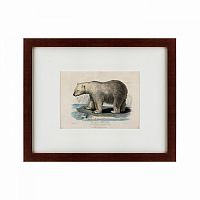 картина: white polar bear on an ice, 1830 в Перми