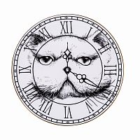 тарелка кот на циферблате в Перми