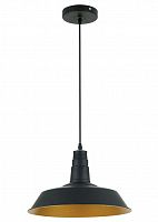 подвесной светильник odeon light kasl 3378/1 в Перми