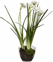 декор allium в Перми