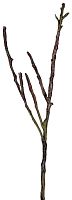 декор dry branches в Перми