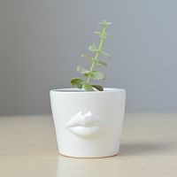 набор для выращивания eco мини-кашпо «губы» в Перми