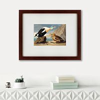 картина: king duck, 1827 в Перми