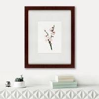 картина: apricot flower (prunus armeniaca), 1832 в Перми