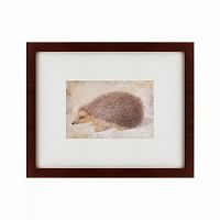 картина: a hedgehog, 1584 в Перми