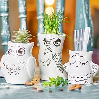 горшки для растений eco совы, 3 шт в Перми