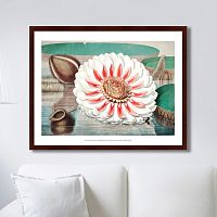 картина: a gigantic water lily in bloom, 1870г. в Перми
