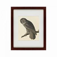 картина: great gray owl, 1834 в Перми