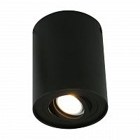 потолочный светильник arte lamp a5644pl-1bk в Перми