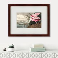 картина: roseate spoonbill, 1827 в Перми