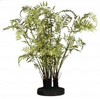 декор ferns в Перми