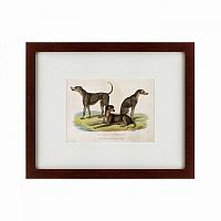 картина: three african bloodhounds, 1830 в Перми