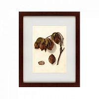 картина: watercolor collection, drawing №3, 1909 в Перми