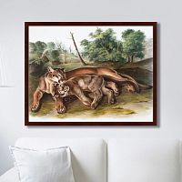 картина: the cougar, 1850г. в Перми