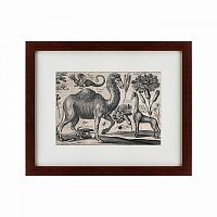 картина: a camel, 1670 в Перми