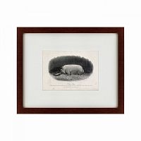 картина: a prize boar, 1867 в Перми