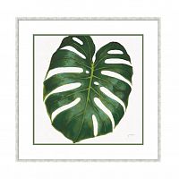 постер monstera зеленый в Перми