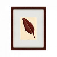 картина: the dark red leaf, 1881 в Перми