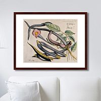 картина: exotic plants of the world №12, 1815г. в Перми