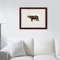 картина: rhinoceros ancienne gravure, 1849 в Перми