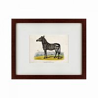 картина: a zebra, 1830 в Перми