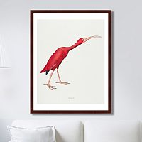 картина: scarlet ibis, 1827г. в Перми
