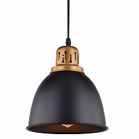 подвесной светильник arte lamp eurica a4245sp-1bk в Перми