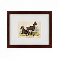 картина: two nilgais, 1830 в Перми