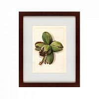 картина: watercolor collection, drawing №1, 1909 в Перми