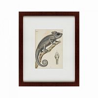 картина: chameleon, 1706 в Перми