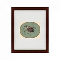 картина: spider, 1690 в Перми