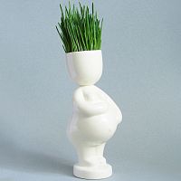 набор для выращивания eco мама в Перми