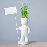 набор для выращивания eco знаменосец в Перми