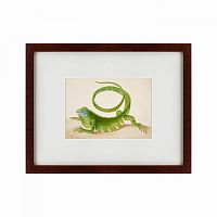 картина: green iguana, 1701 в Перми