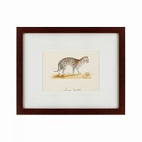 картина: an ocelot, 1801 в Перми