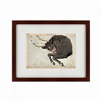 картина: signs of zodiac taurus, 1825 в Перми