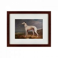 картина: portrait of a greyhound, 1744 в Перми