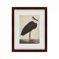 картина: black stork in a landscape, индия, 1780 в Перми