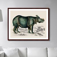картина: rhinoceros, 1774г. в Перми