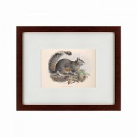 картина: the squirrel, 1879 в Перми